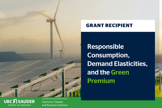 Responsible Consumption, Demand Elasticities, and the Green Premium 