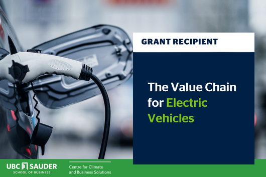 The value chain for EVs