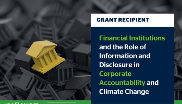 Financial Institutions and the Role of Information and Disclosure in Corporate Accountability and Climate Change